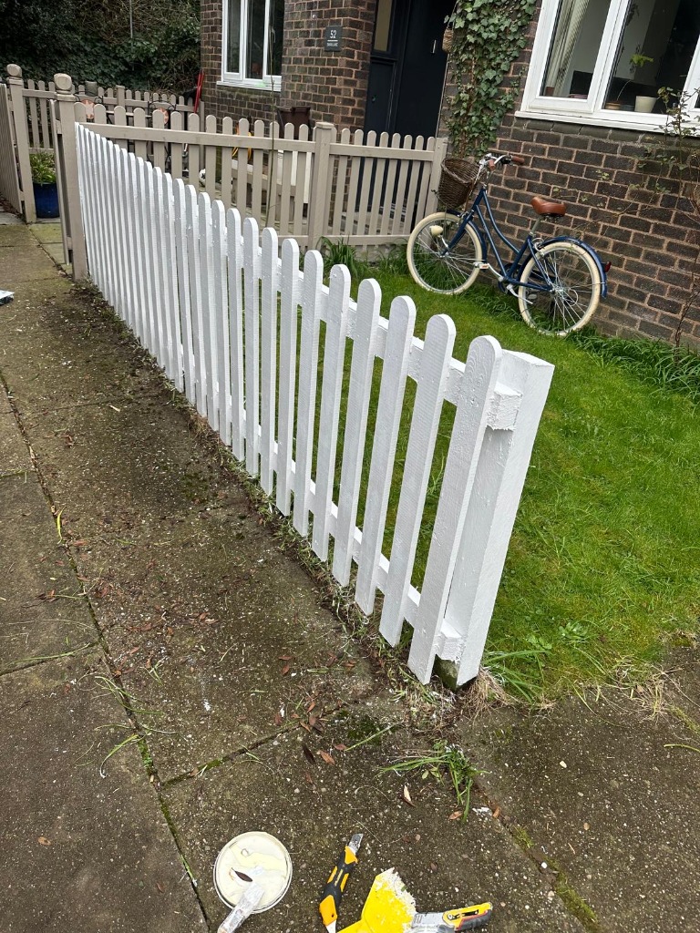 Fence Install & Painting